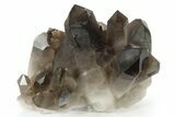 Wide, Free-Standing Smoky Quartz Cluster - Brazil #229511-1